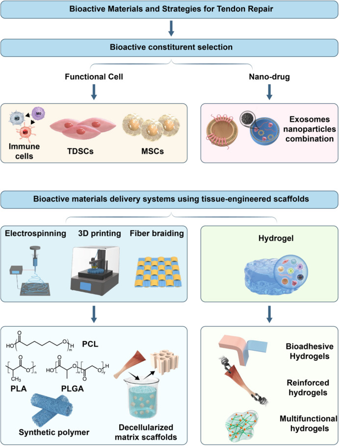 Advanced bioactive materials and strategies for tendon repair and