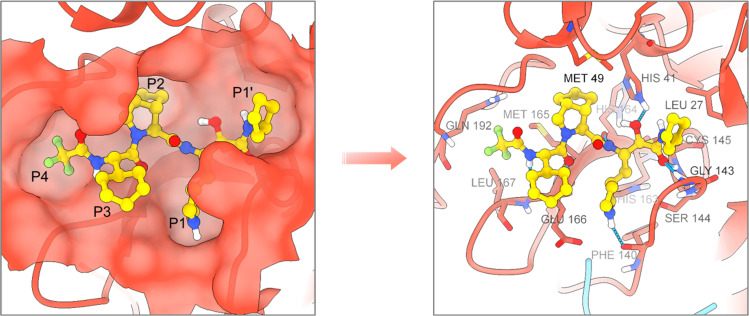 Leritrelvir (RAY1216): a novel α-ketoamide-based peptidomimetic