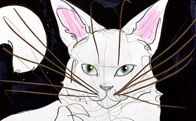 メルカリ出品数1万超！5分間ドローイングの入手は争奪戦！！【木原千春