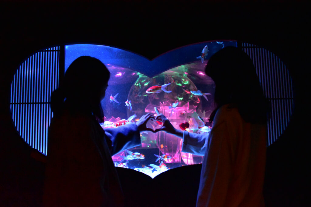 アートアクアリウム美術館のバレンタインは金魚泳ぐハート型の水槽作品