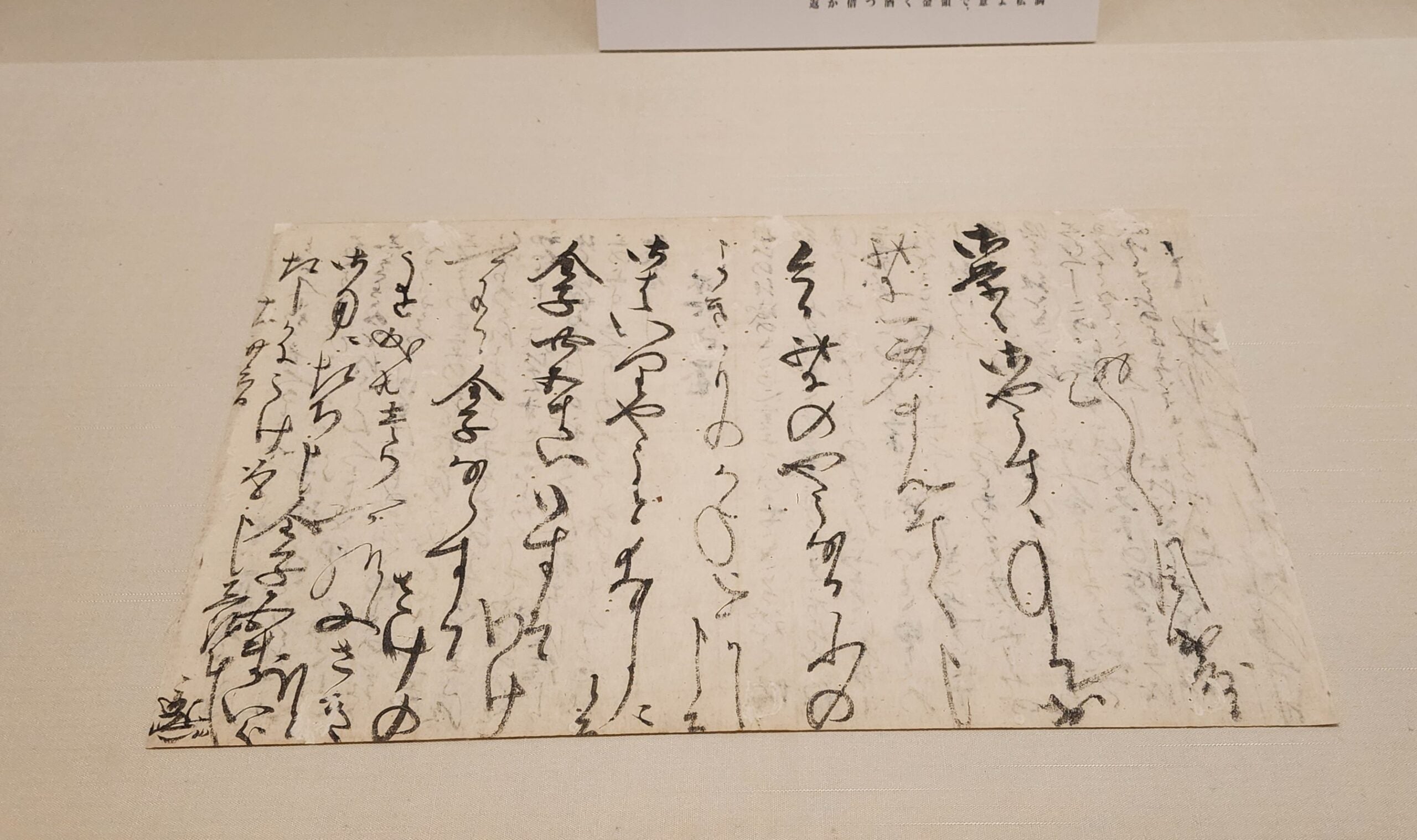 開幕】「信長の手紙―珠玉の60通大公開―」永青文庫で12月1日まで 新発見
