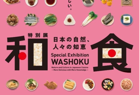 a11b4bb3ba448d1fa402ac3dc62cc9