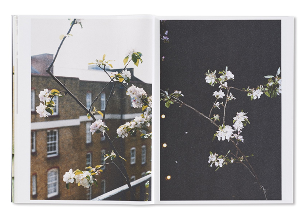 WOLFGANG TILLMANS / Wolfgang Tillmans ON READING Online Shop