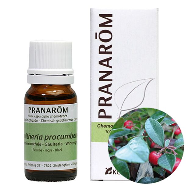 プラナロム ウィンターグリーン｜アロマ×アロマ