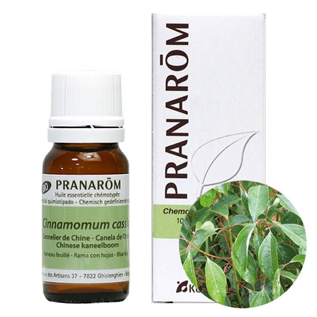 プラナロム シナモン カッシア｜アロマ×アロマ