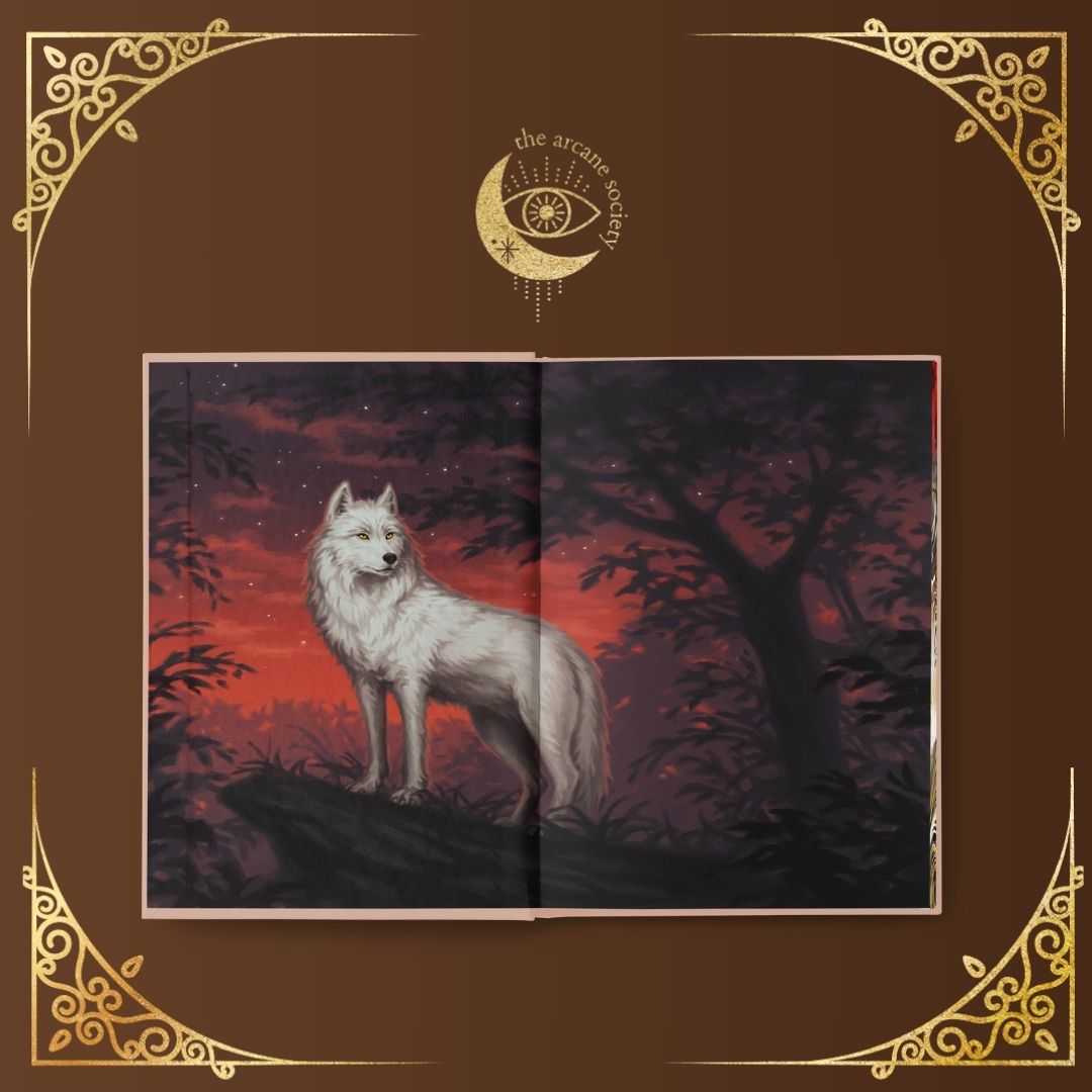 Add On Box - Charissa Weaks - The Wolf and The Witch – The Arcane