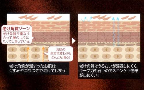 ナガセ ビューティケァ 健康食品 化粧品 通信販売 アルカンジュ
