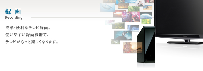 B5/録画｜テレビ｜REGZA：東芝