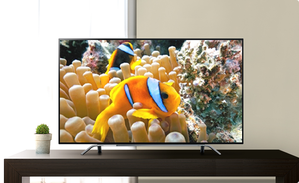 Z810X/高画質/さまざまな高画質技術｜テレビ｜REGZA：東芝