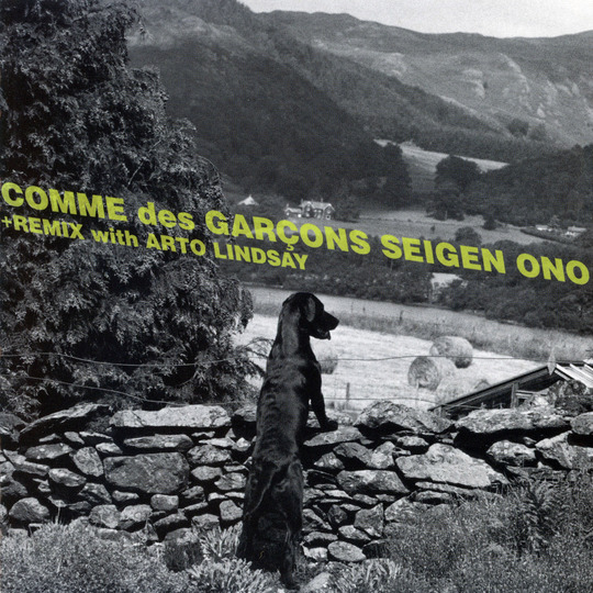 Seigen Ono and Arto Lindsay - Comme des Garçons + Remix : Seigen