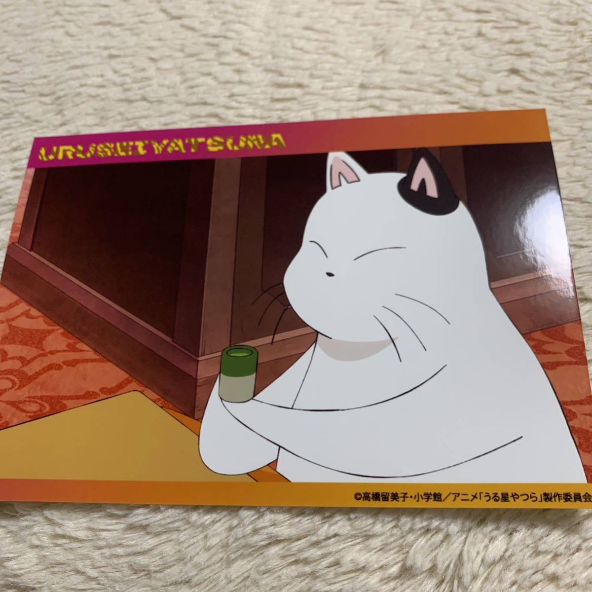 こたつ猫 法被 うる星やつら こたつ猫 法被 うる星やつら こたつ猫 法