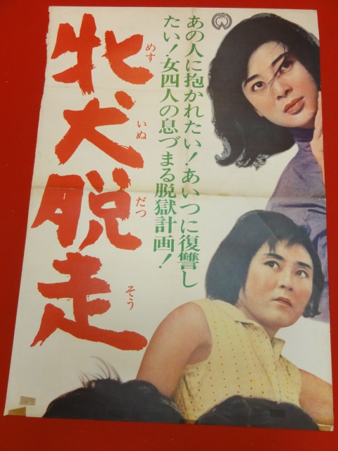 2026年最新】Yahoo!オークション -炎加世子の中古品・新品・未使用品一覧