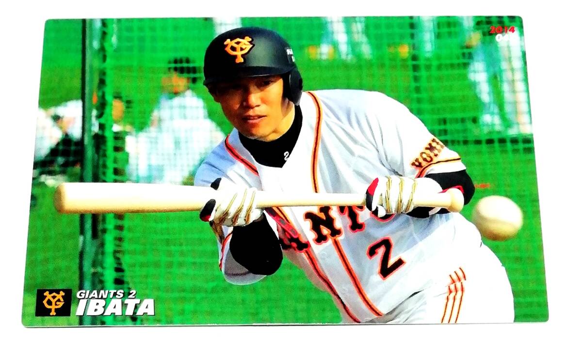 2026年最新】Yahoo!オークション -プロ野球チップスカード井端弘和の