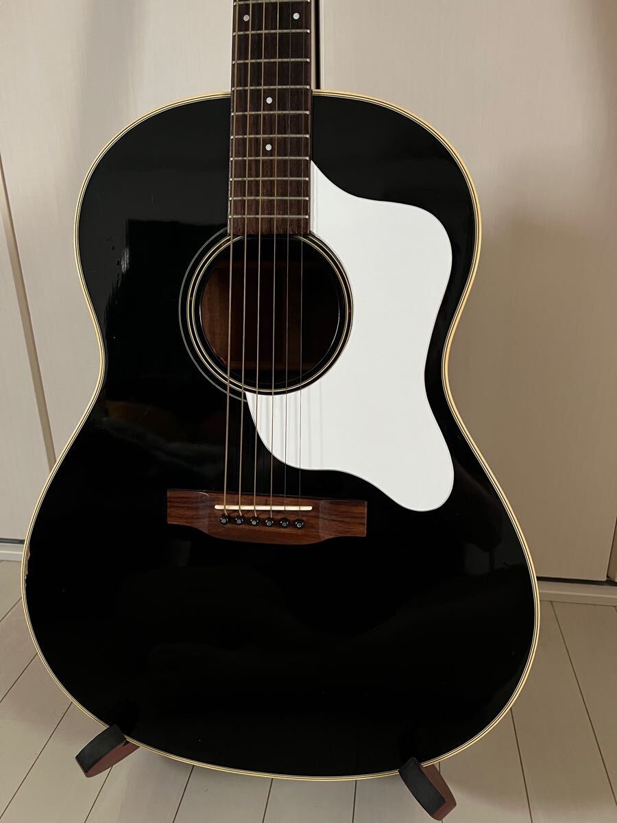 2026年最新】Stafford(SAD 1000) スタッフォード アコースティック