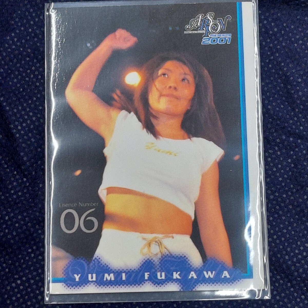 Yahoo!オークション - 府川唯未 田中稔 アルシオン2000 プロレス 府川