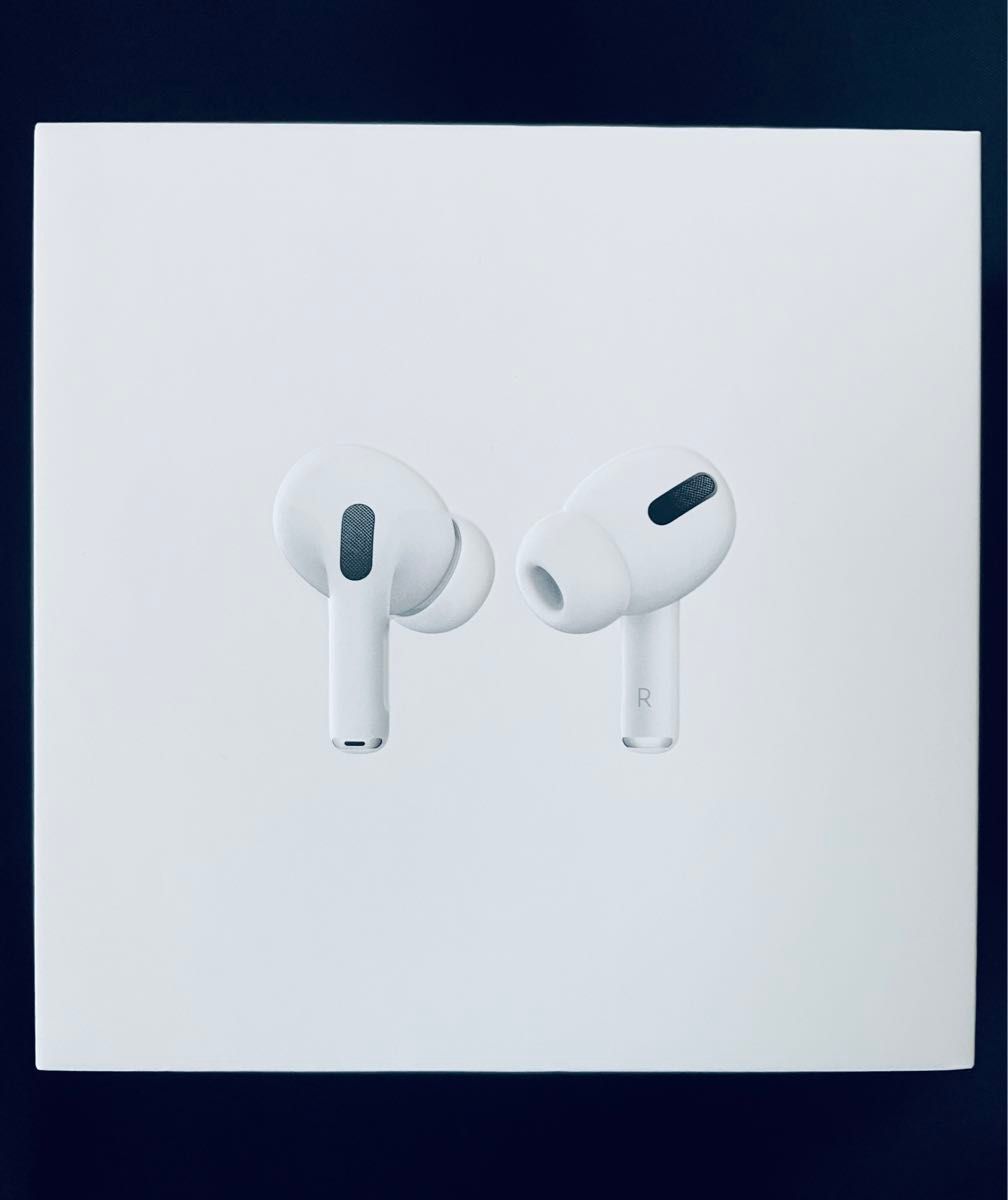 Apple AirPods Pro（第1世代） MagSafe充電対応 MLWK3J/A イヤホン本体