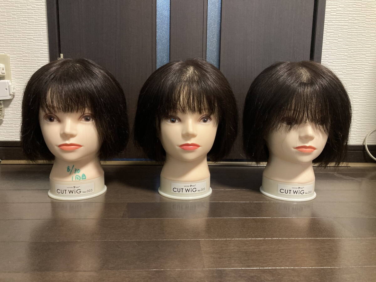 2026年最新】Yahoo!オークション -美容師 ウィッグの中古品・新品・未