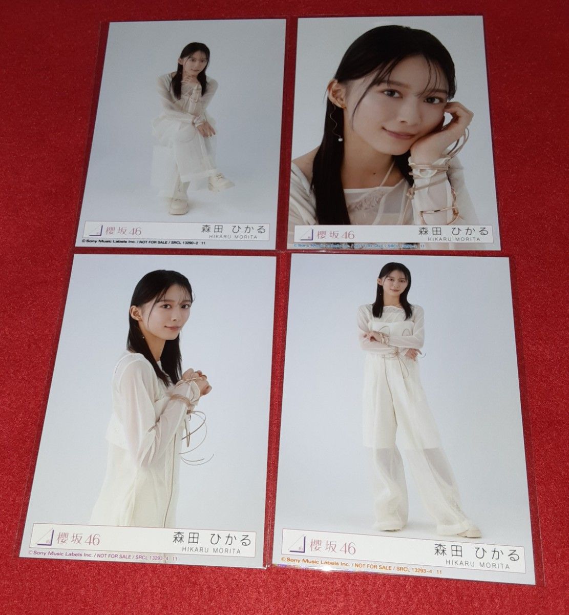 櫻坂46 9th 東京ドーム限定封入 森田ひかる 生写真｜Yahoo!フリマ（旧