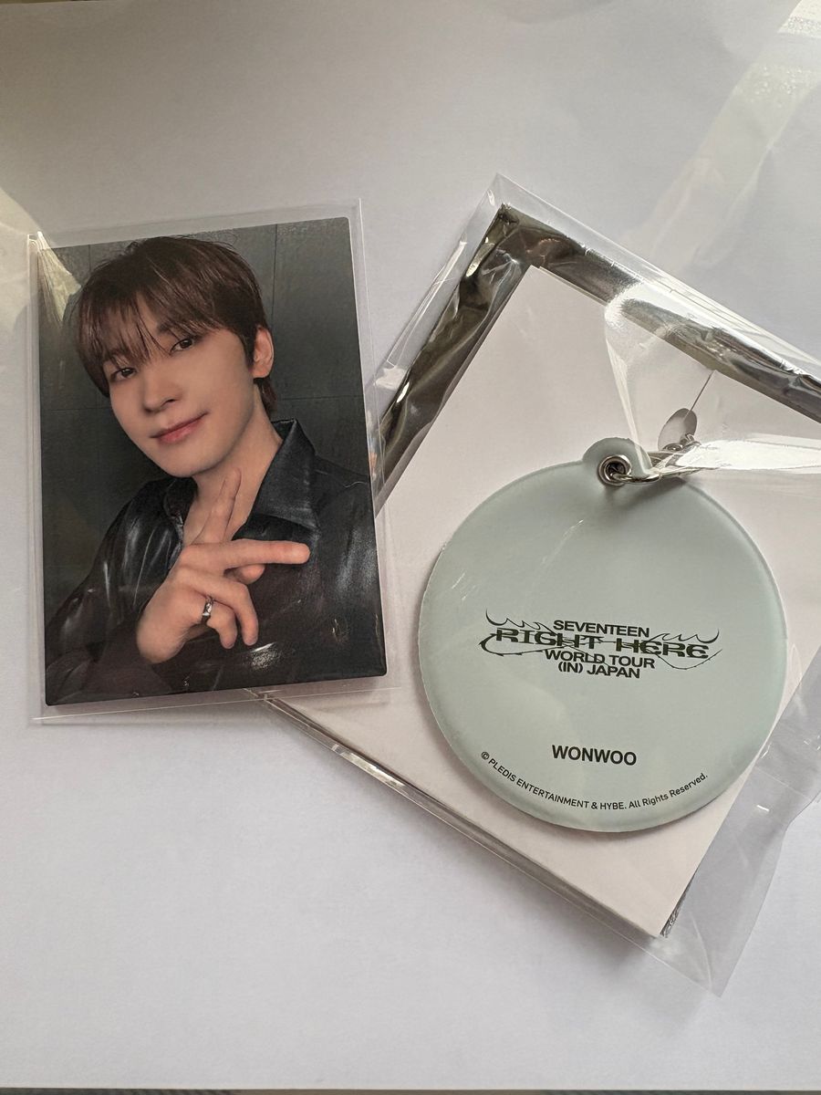 新品 ウォヌSEVENTEEN セブチ RIGHT HERE JAPAN ビック フォトタオル