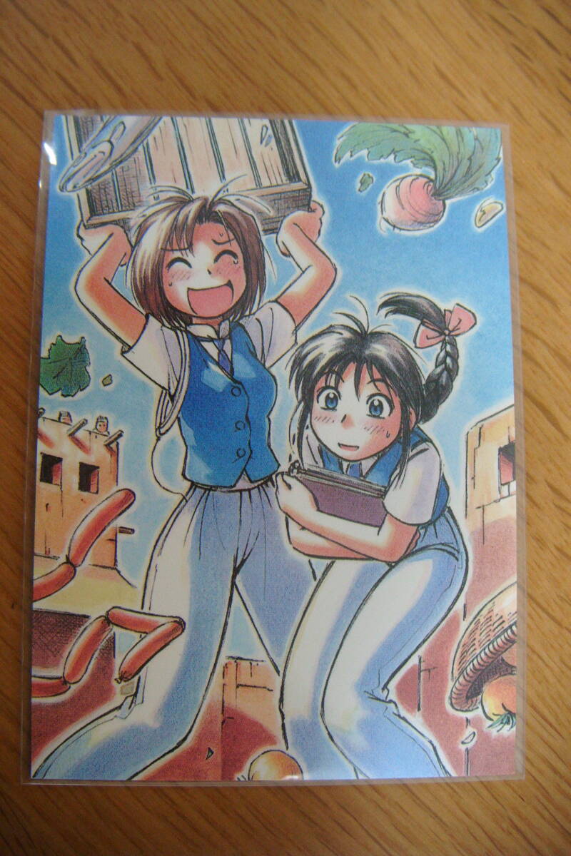 Yahoo!オークション -「逮捕しちゃうぞ」(トレーディングカード) の