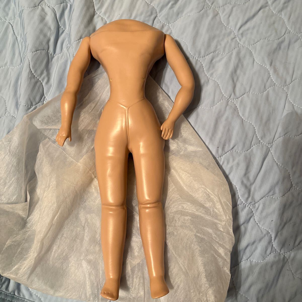 Yahoo!オークション -「シーリー」(人形、キャラクタードール) の落札