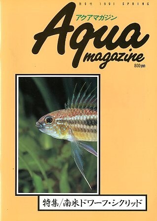 2026年最新】Yahoo!オークション -アクアマガジンの中古品・新品・未