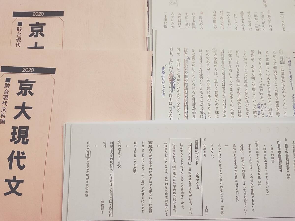 駿台 中野芳樹先生 締切り講座 22年度夏期 京大現代文 テキスト・板書