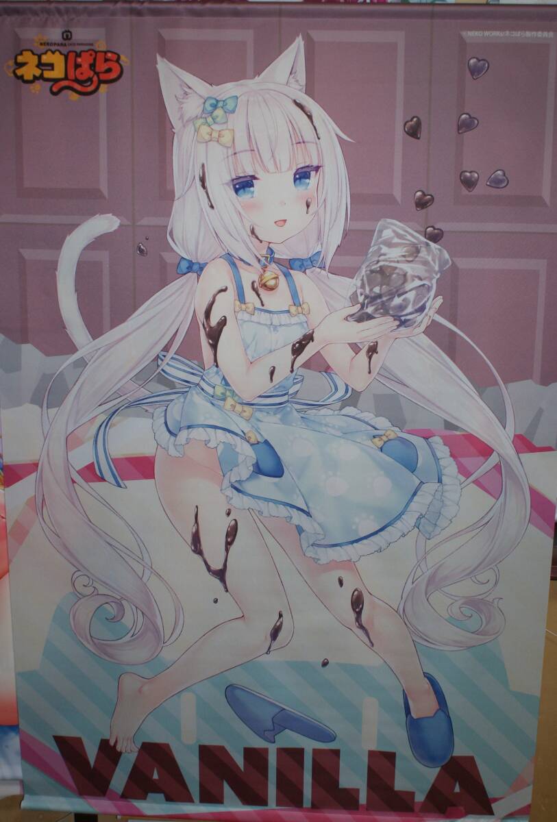 2026年最新】Yahoo!オークション -ネコぱら(タペストリー)の中古品