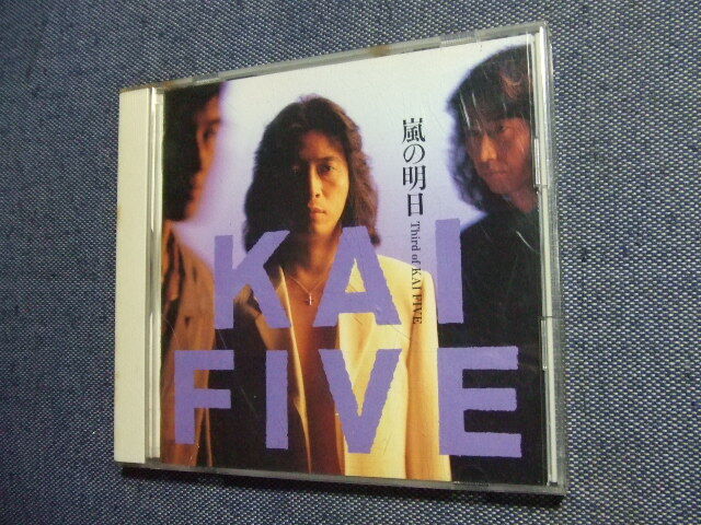 Yahoo!オークション -甲斐よしひろ(か)の落札相場・落札価格(2ページ目)