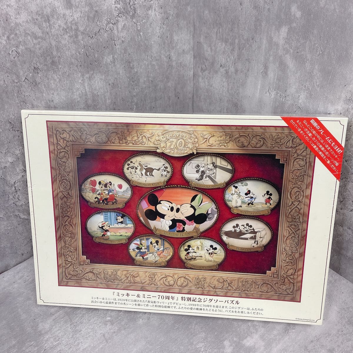 Disney ディズニー 東京ディズニーリゾート30周年記念 ザ・ハピネス