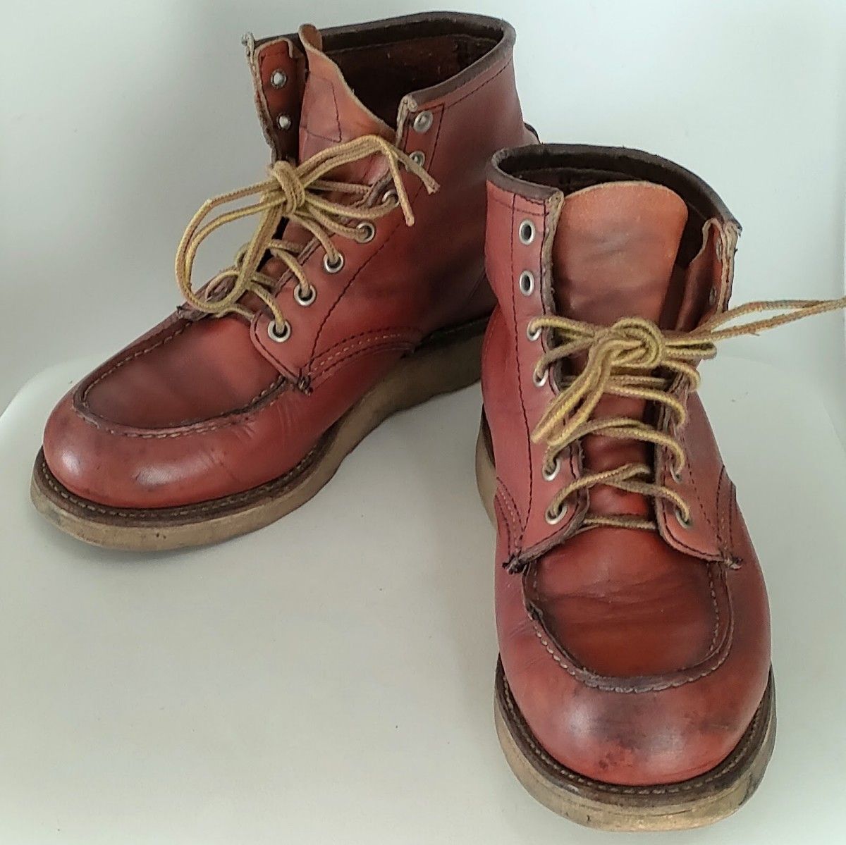 RED WING 四角犬タグ レッドウイング アイリッシュセッター 8875
