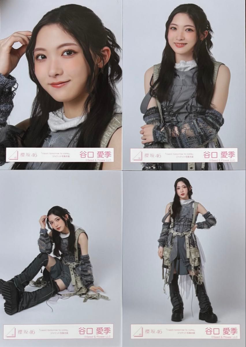 櫻坂 櫻坂46 生写真 自業自得 MV衣装 谷口愛季 コンプです #めるもな_