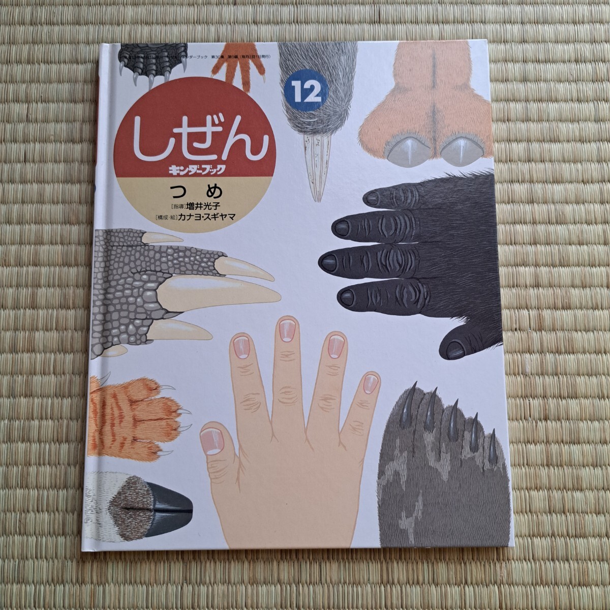 Yahoo!オークション -「キンダーブック しぜん」(本、雑誌) の落札相場