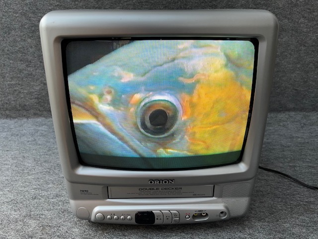 Yahoo!オークション -「オリオンテレビデオ」の落札相場・落札価格