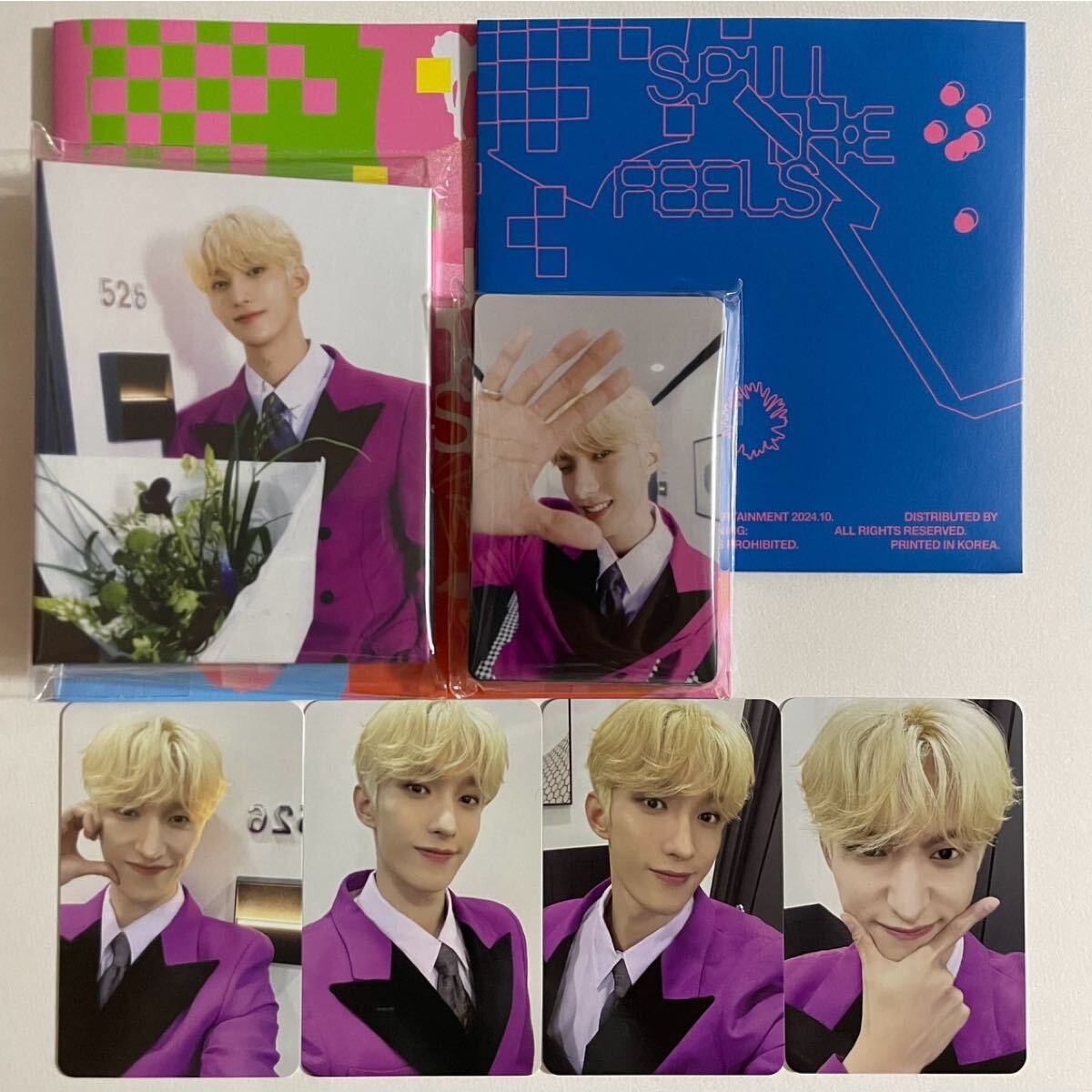 SEVENTEEN DK ドギョム FACE THE SUN カラット盤 バインダー トレカ 22