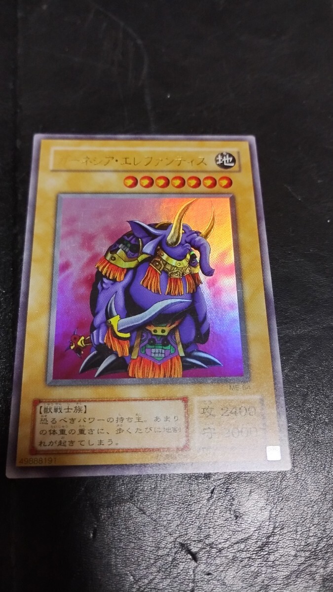 2026年最新】Yahoo!オークション -ガーネシアエレファンティスの中古品