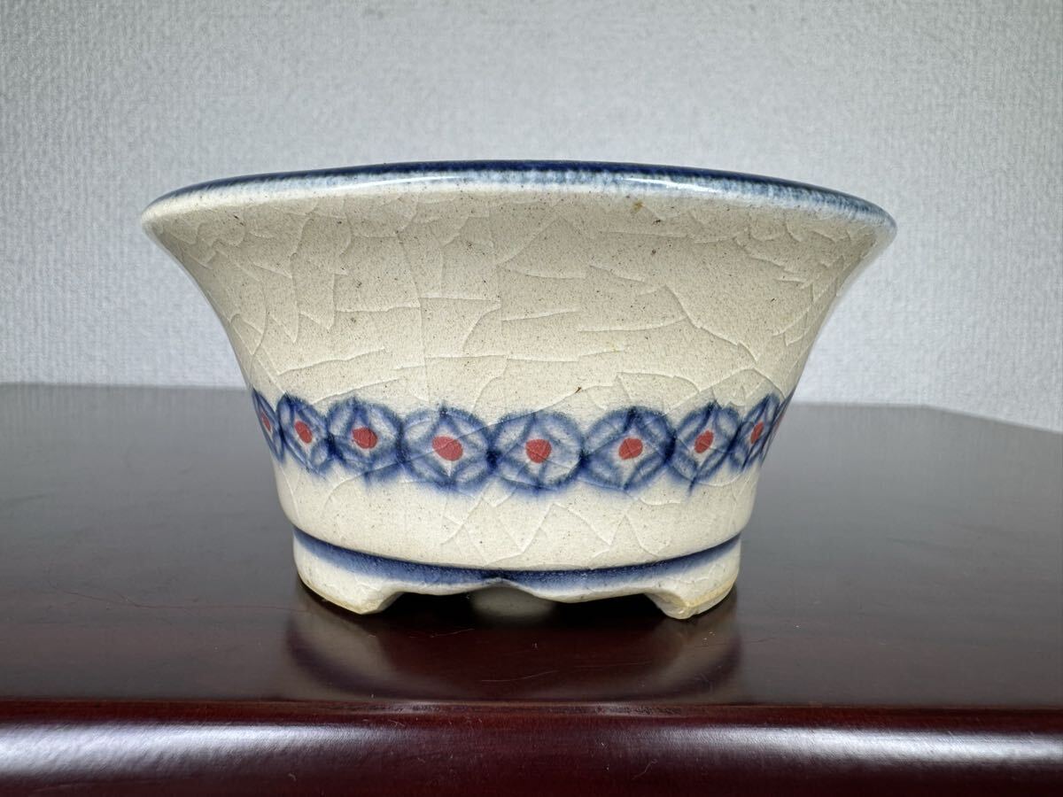 Yahoo!オークション -「堀江」(盆栽) の落札相場・落札価格