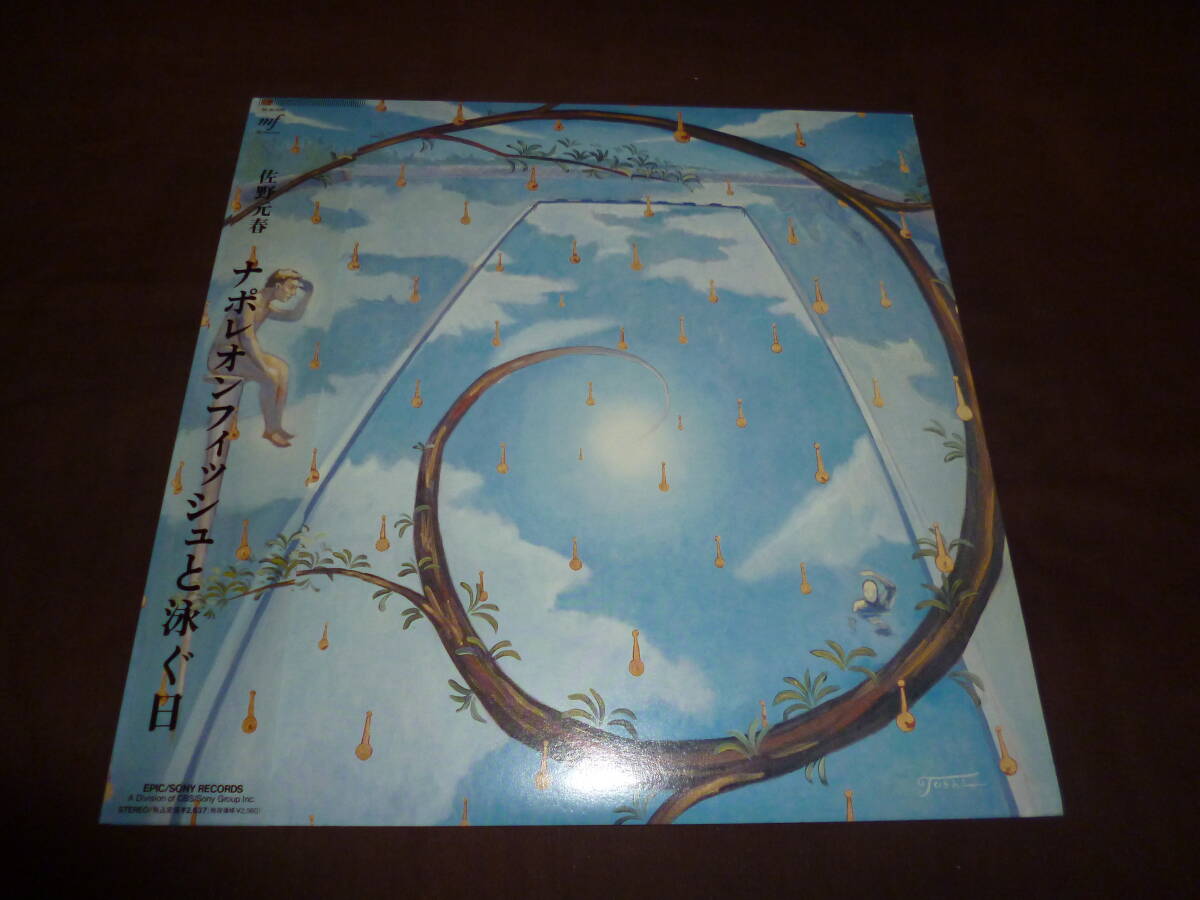 Yahoo!オークション -「ナポレオンフィッシュと泳ぐ日」の落札相場