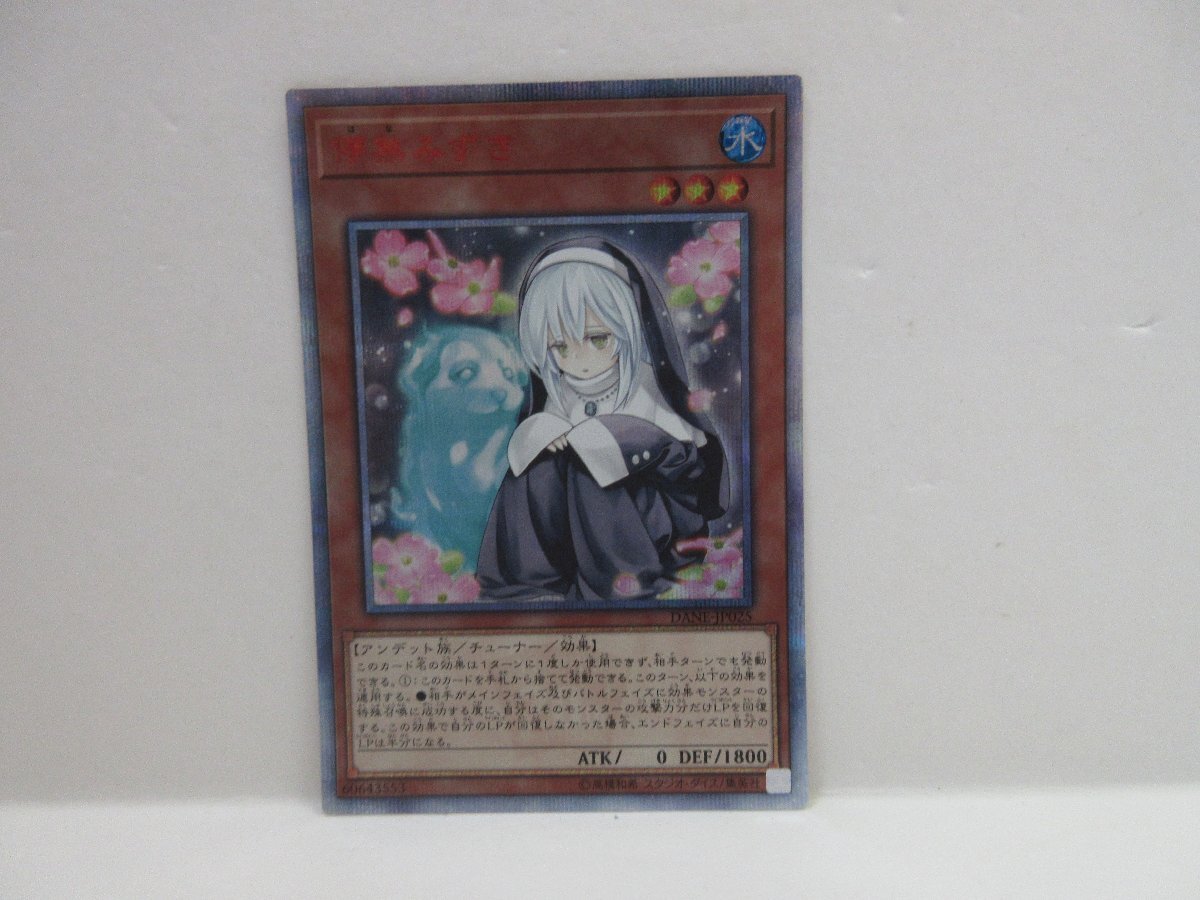 Yahoo!オークション -「儚無みずき dane-jp025 20thシークレット