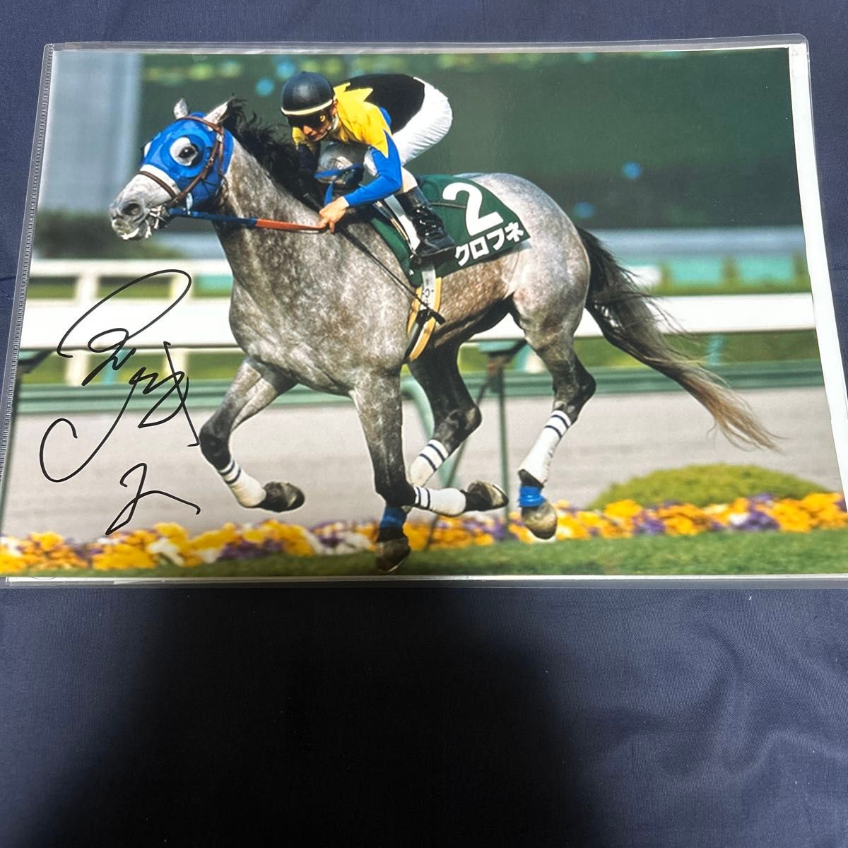 競馬 イクイノックス ルメール騎手 直筆サイン入り写真パネル｜Yahoo