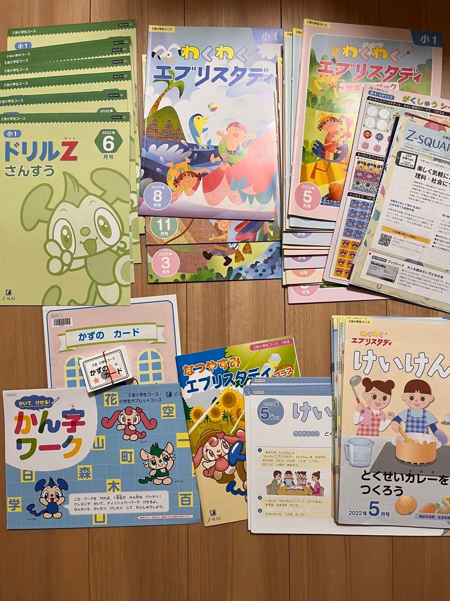 Z会 エブリスタディ 小4コース 2022年6月〜2023年3月 国語（ハイレベル