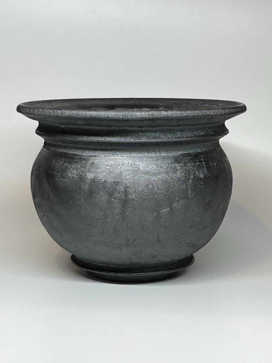 Yahoo!オークション -「勇人」(花、園芸) の落札相場・落札価格