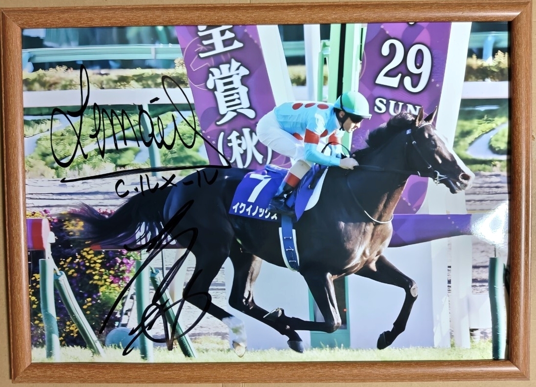 Yahoo!オークション -「ルメールサイン」(スポーツ、レジャー) の落札