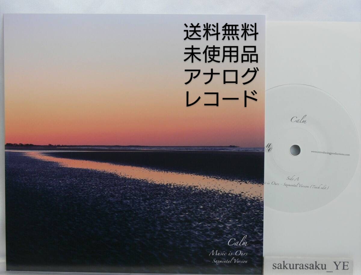 2026年最新】Yahoo!オークション -nujabes レコード(レコード)の中古品