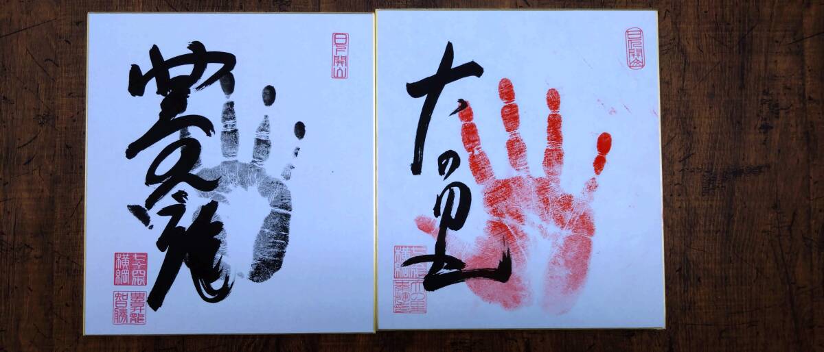 Yahoo!オークション -「豊昇龍 サイン」の落札相場・落札価格