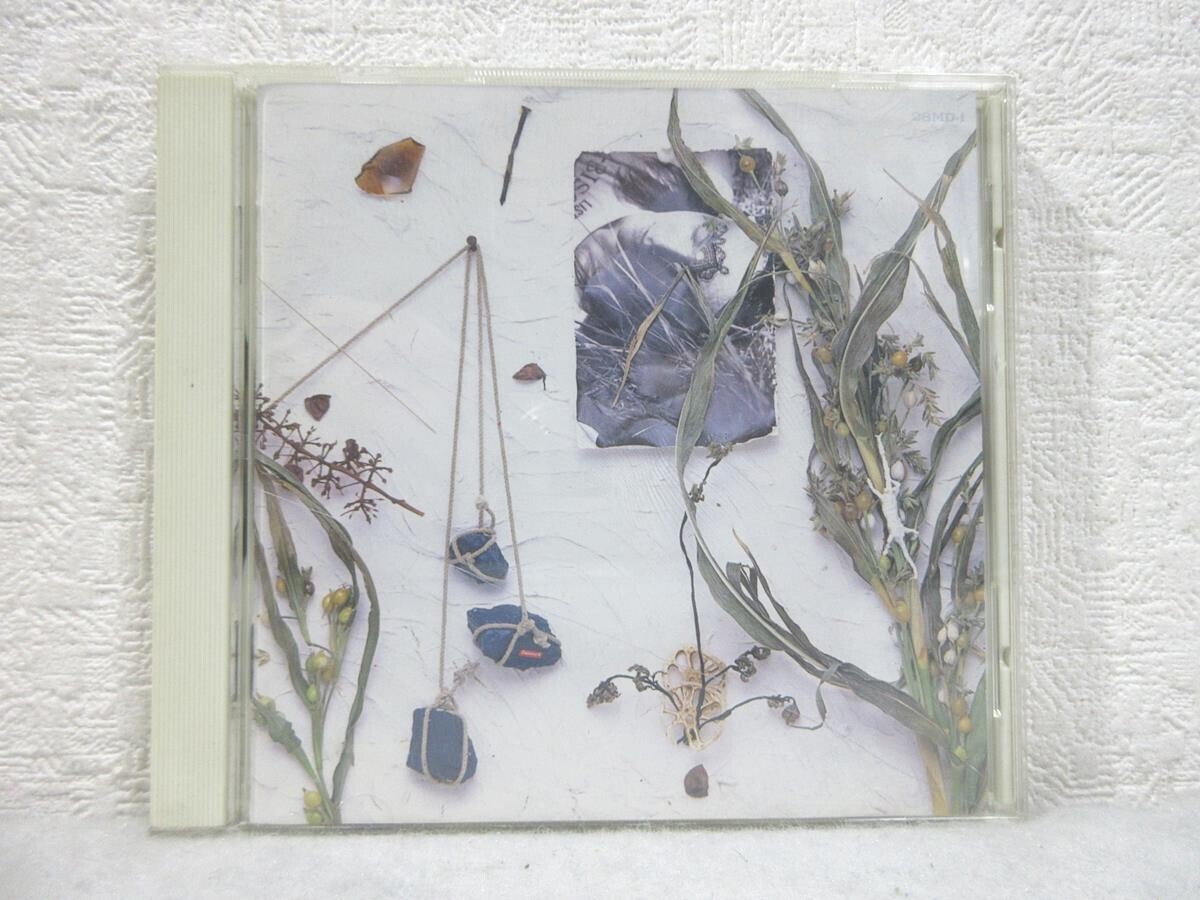 Yahoo!オークション -「真島昌利 夏のぬけがら」(ザ・ブルーハーツ