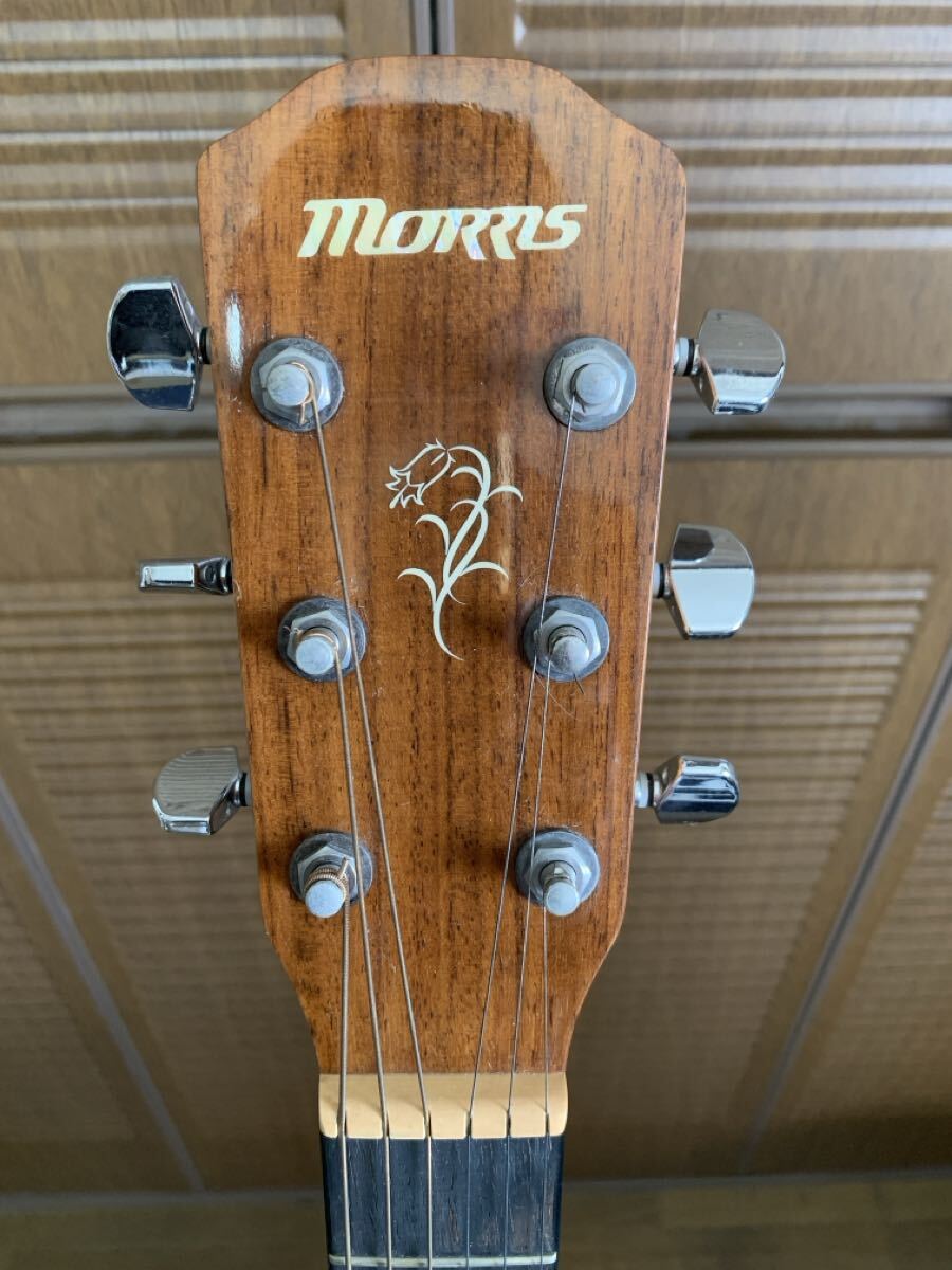 Yahoo!オークション -「m12」(本体) (アコースティックギター)の落札