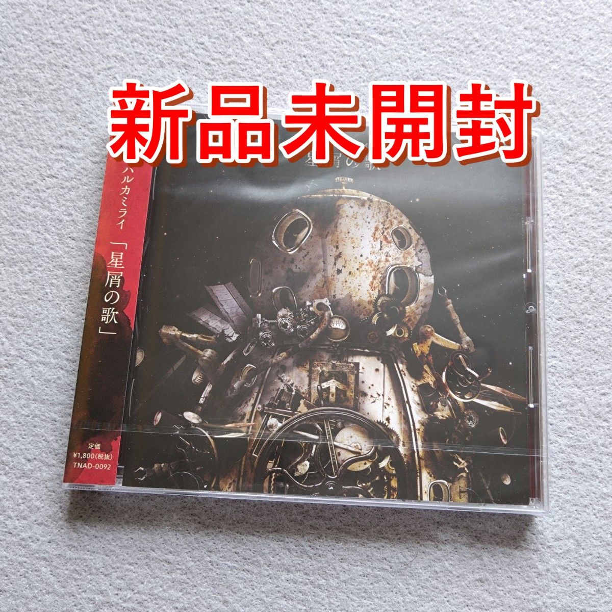 八王子NOW 2015 ハルカミライなど｜Yahoo!フリマ（旧PayPayフリマ）