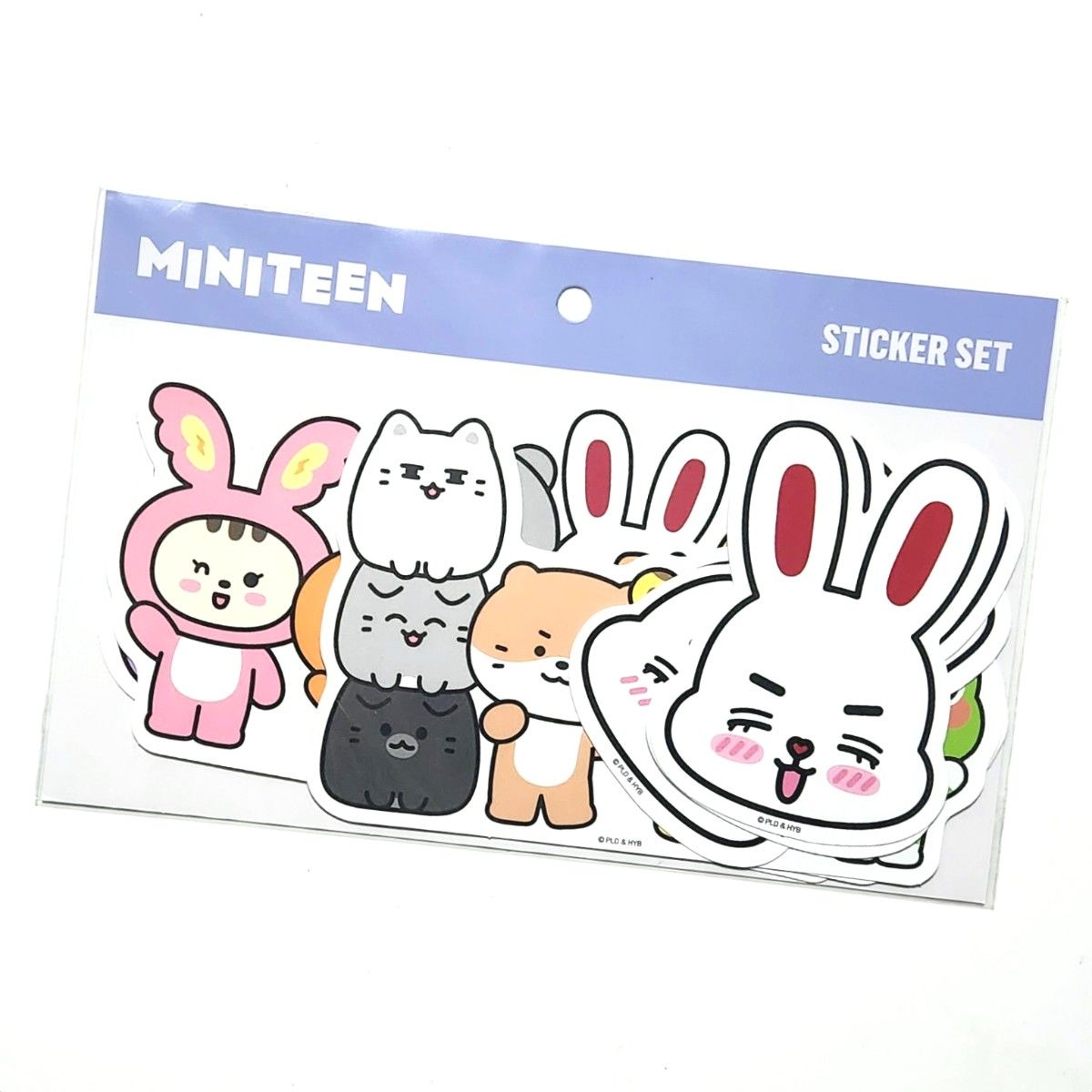 seventeen ミニティーン miniteen エスクプス チェチェリ マグネット