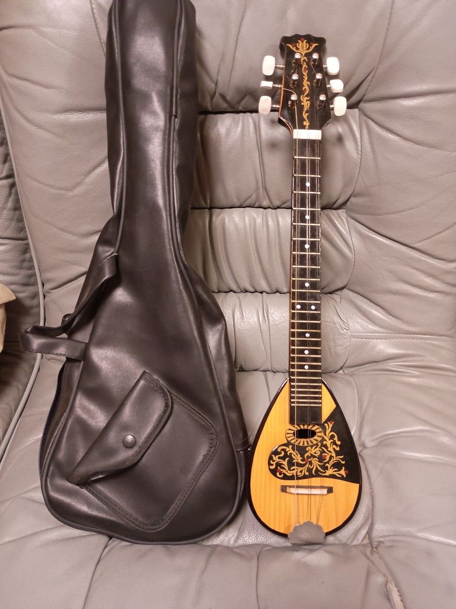 Damnyen ダムニェン 6弦 ブータン 撥弦楽器 チベット 送料込み｜Yahoo